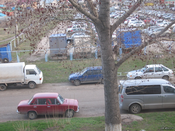 "����� ����"