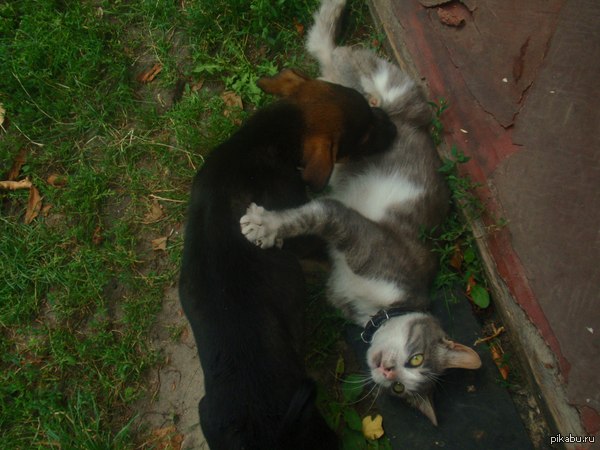 ����� ��������, ��� �������!