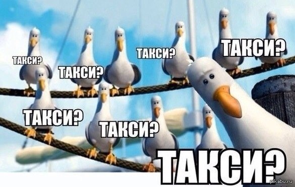 ����� �������� � �������/���������.