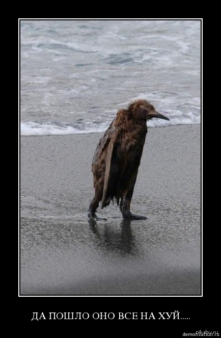    !    !      ,       .