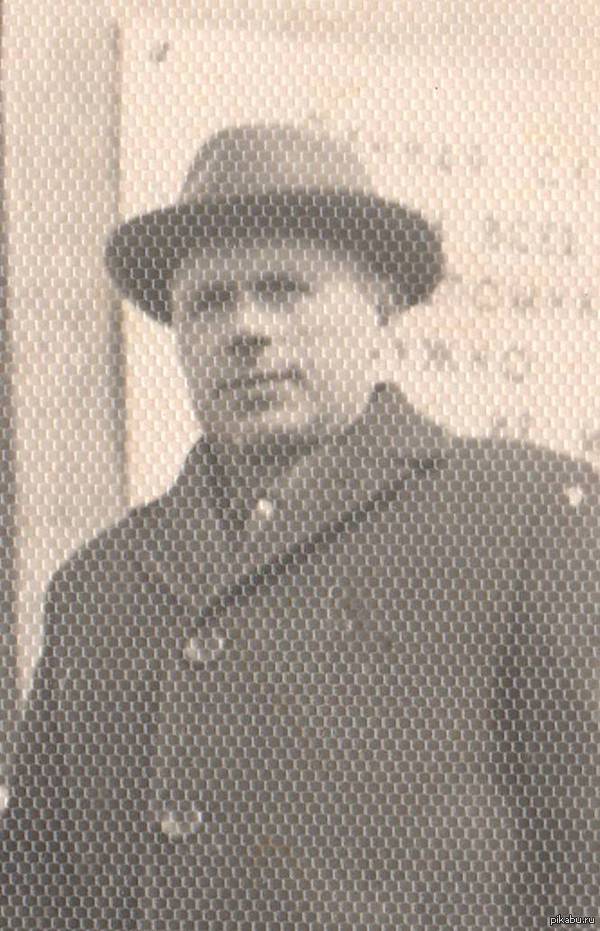 ��������, ����������