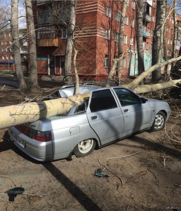 НИЗКИЙ ТАЗ РАДУЕТ ГЛАЗ.