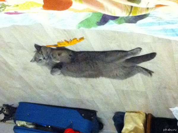 � ������������ �����������, ������� �����������!