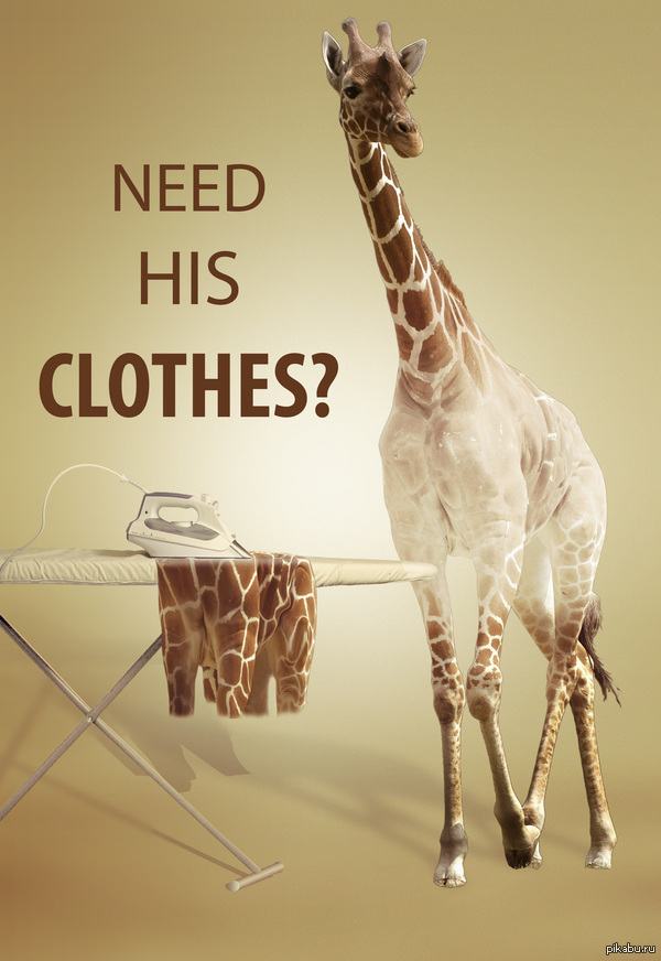   &quot;Need his clothes&quot;.    .      ,   ,   ,    .