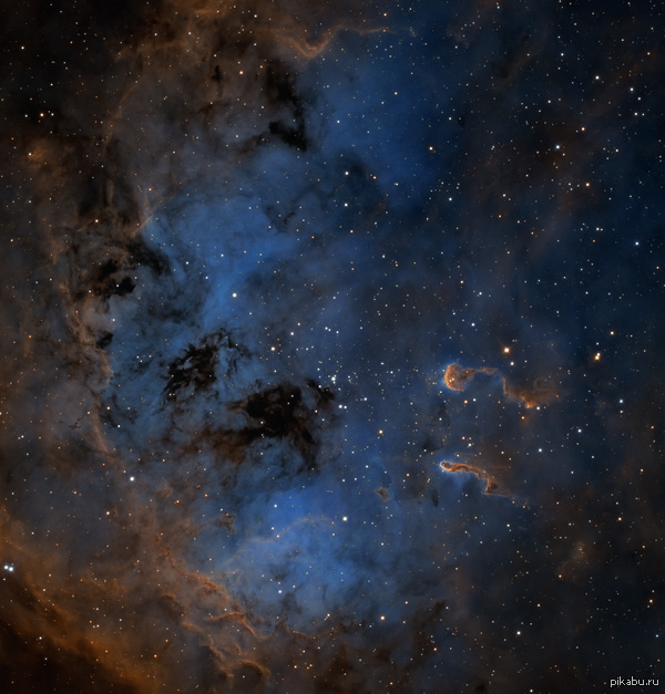      IC 410,       .