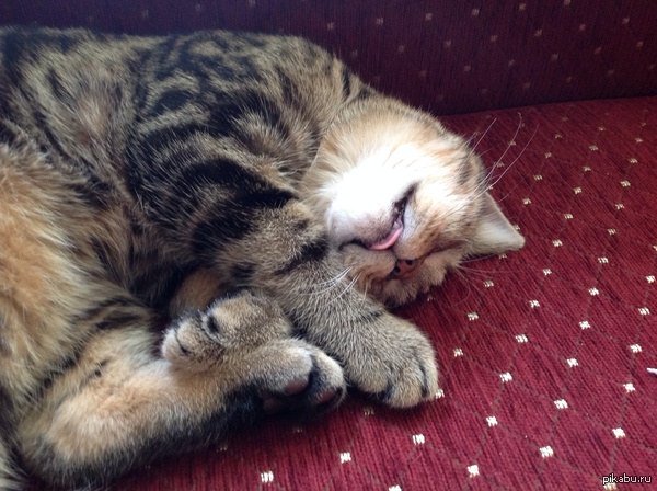 ����� ���� �� ���� ������ ���. ���������. ������� ��� ����� �����)))