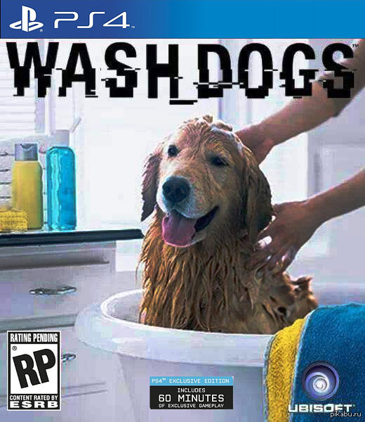Wash_Dogs 
