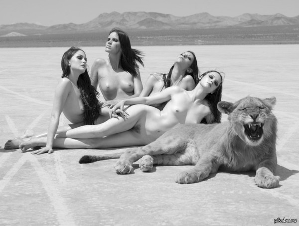 Sunbathe - NSFW, Girls, Boobs, cat