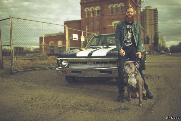 ��� ���� ���������� ��� ����� �������� GTA