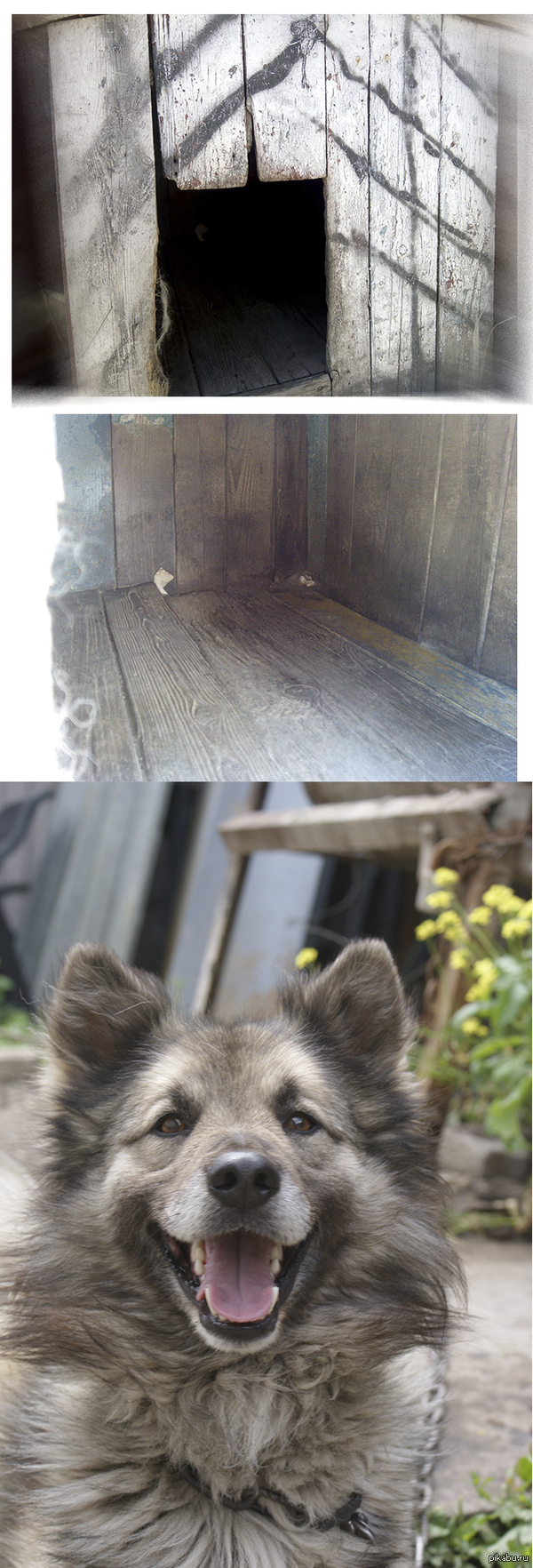 Какие к чёрту общаги, будки вот что сейчас в тренде