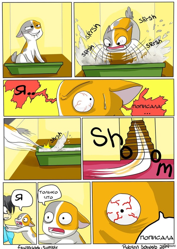 Кошка Келли 4