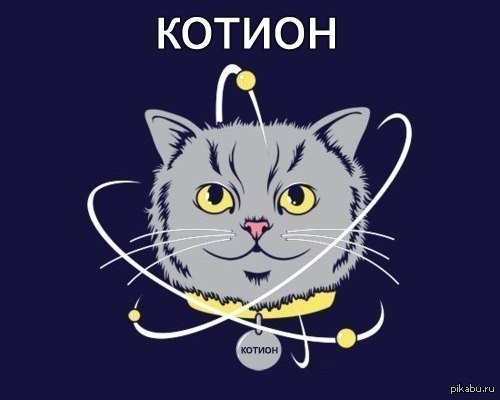 Химический кот. Кот и физика. Котик физик. Кот Химик. Котик и химия.