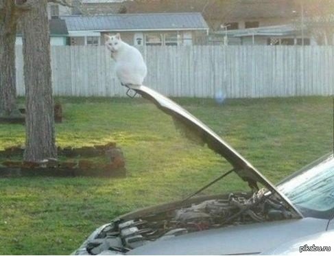 Пожалуй сяду здесь!