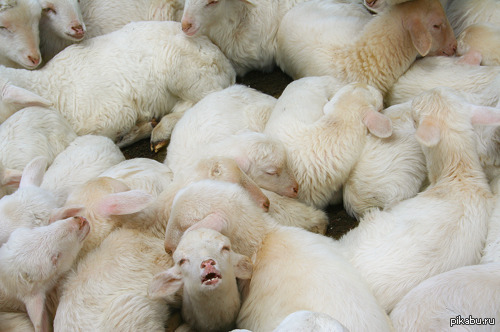 Как я чувствую себя, когда мой коммент даже не в первой сотне...