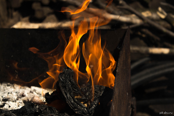 ����� �������