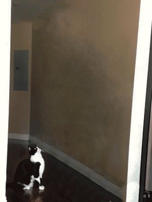   o_O 