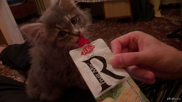 ������ ��� �����,������� ����� ��������� ����