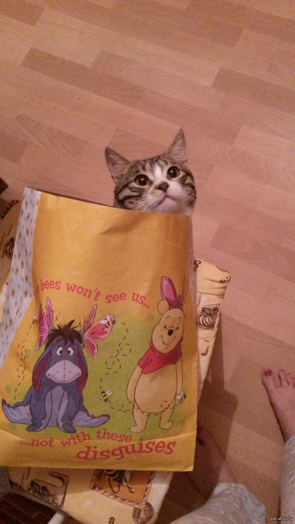 ���� ������:)