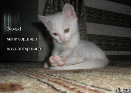 � ���������!