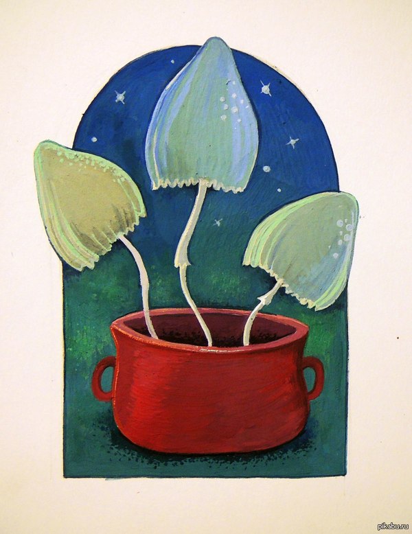 �� ����������� ����, ��� ���