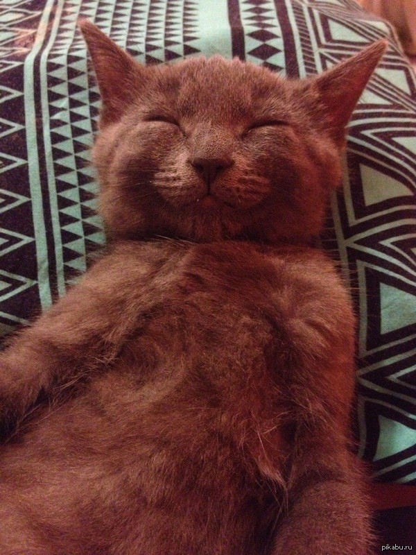 ������� ���� ���������)