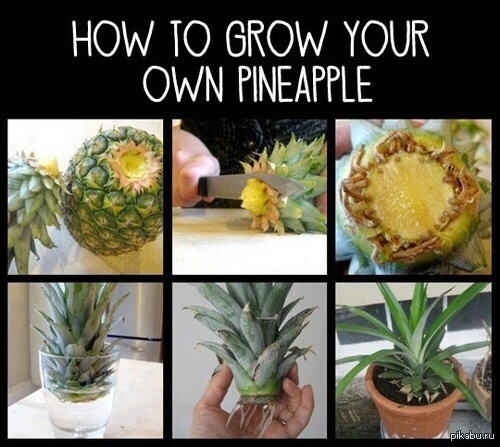 ��� �������� ������?