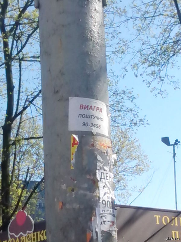 Идея для бизнеса