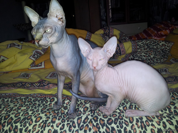 �� ��� ��� � ������...