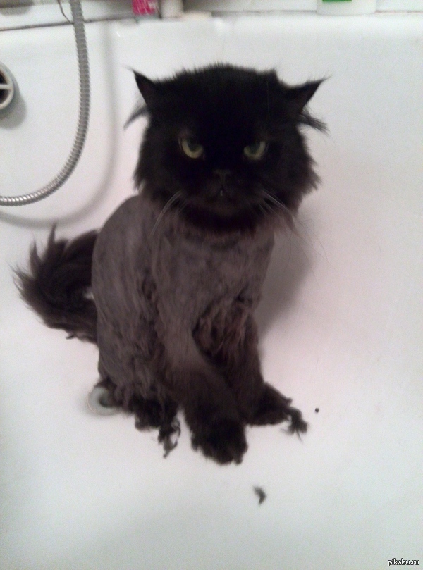 Он пытался сопротивляться.