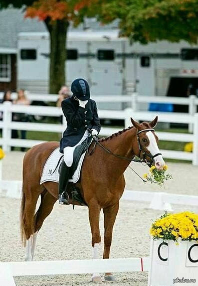Ты - не ты, когда голоден!