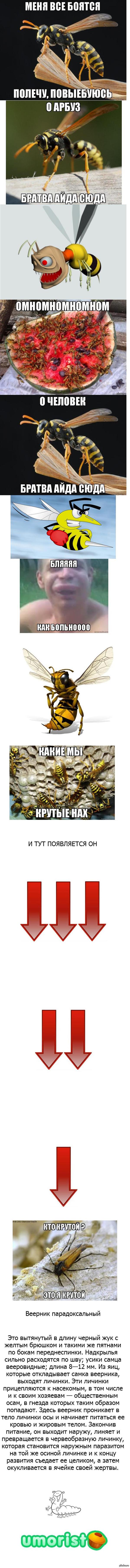 �� ��� ��� �����, ��� �� ������...