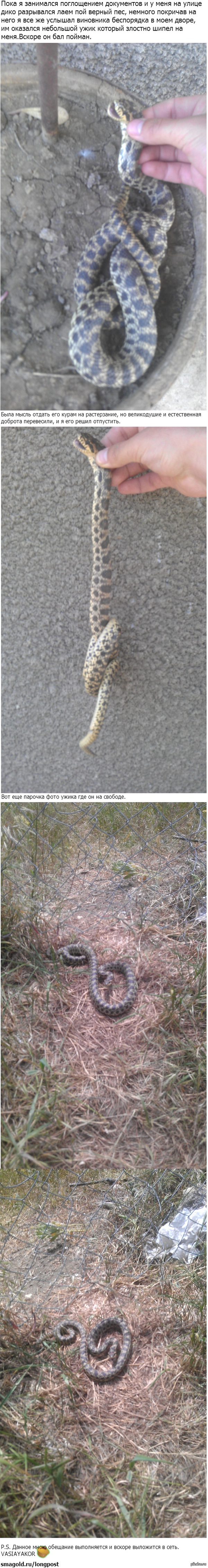 ������� ���� �����, ��� �� ������ ���� �� ����� ������)