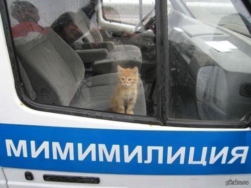 Мимимилиция