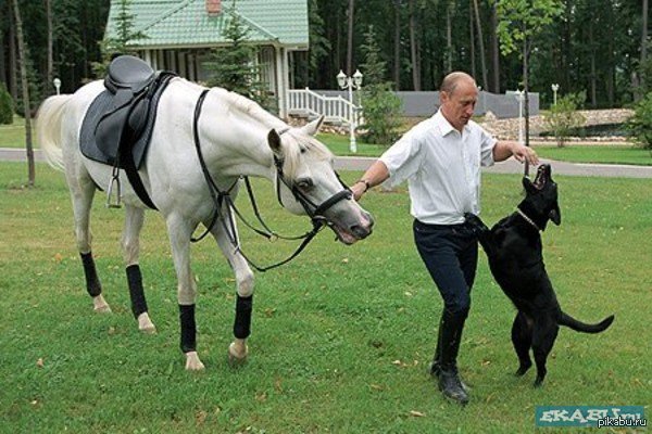 а еще животных любит)