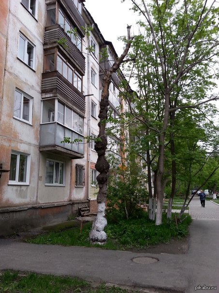 Волшебная палочка Дамблдора