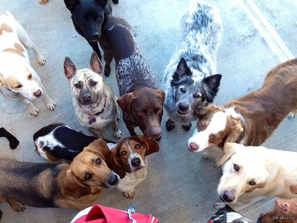  &quot;&quot; - WTF...