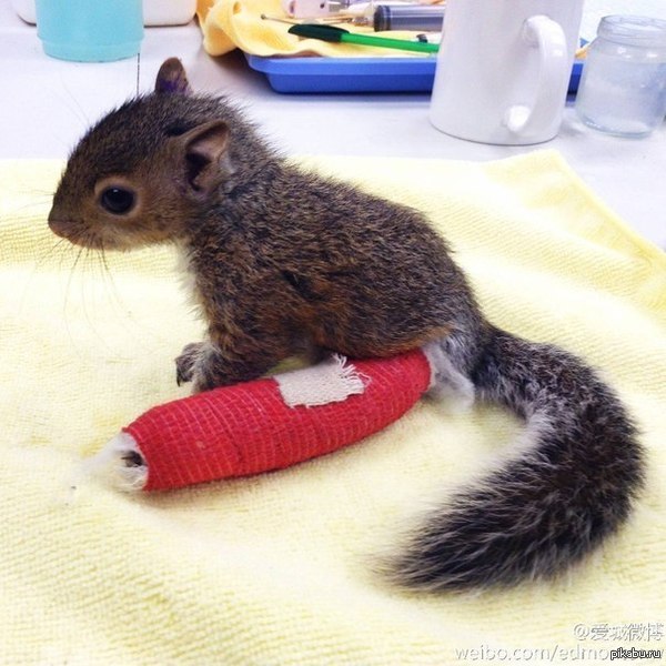 ��������� ���� � �������� ������, �� �� ��������� � ����!