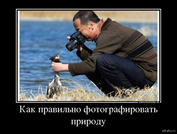 Note to photographers - The photo, Nature, Asians, Photographer, Sea