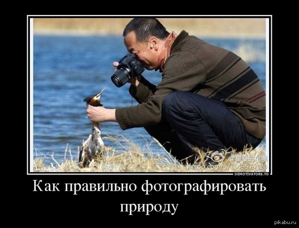 Note to photographers - Nature, The photo, Sea, Photographer, Asians