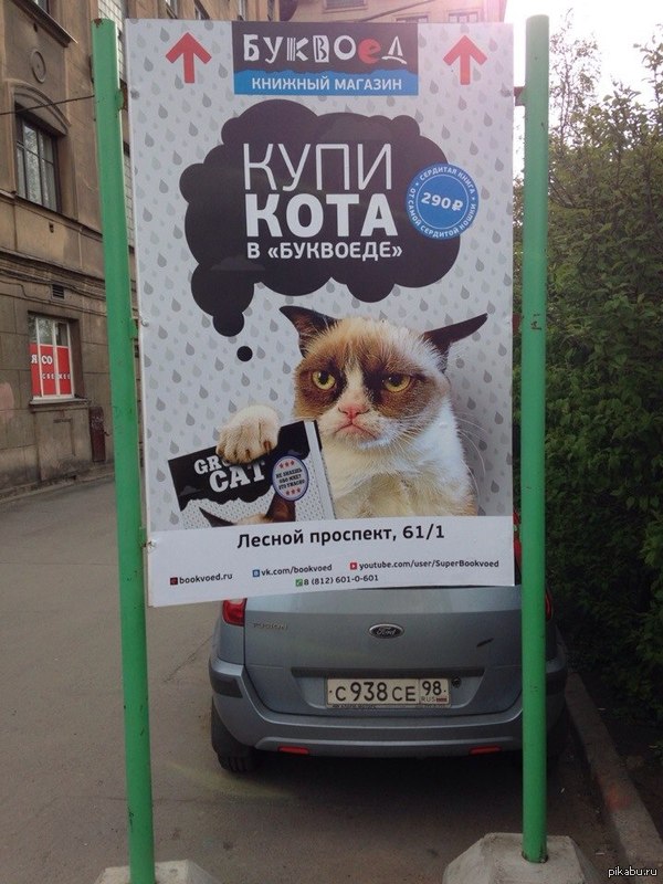 Все говорят купи Слона, а ты купи Кота