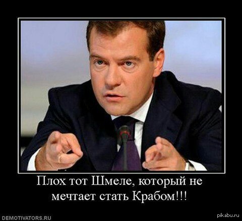 Шмеле | Пикабу