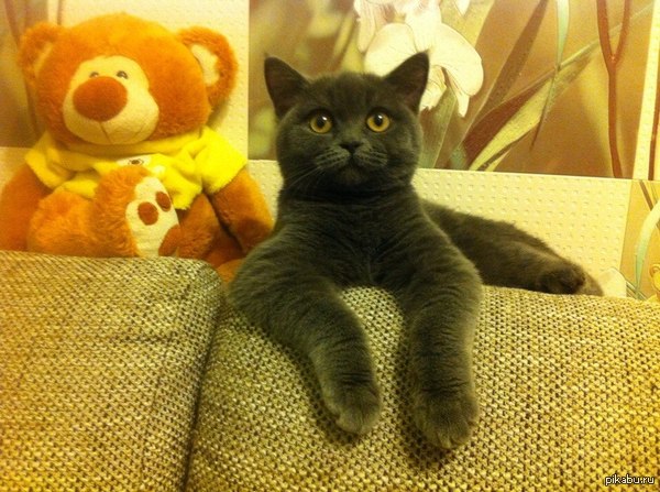 ������ �� ������!!!