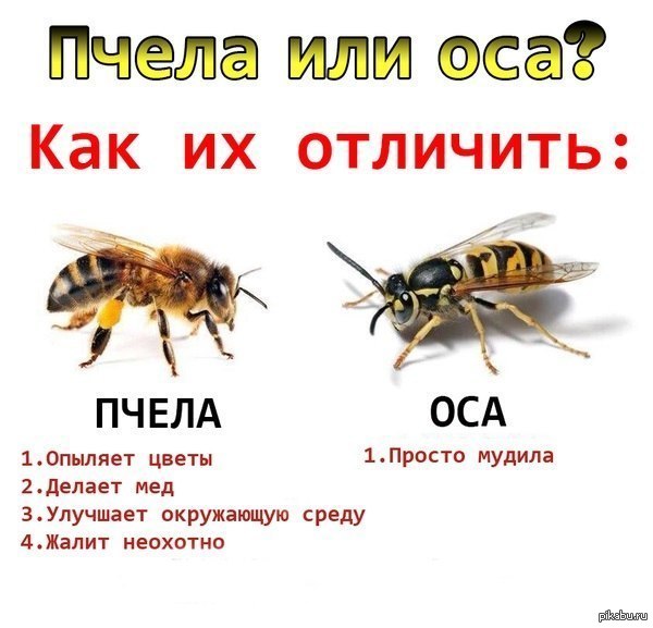 Памятка на лето!