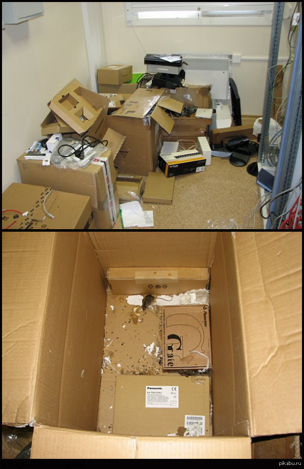 в коробке с ништяками