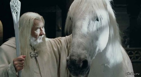 In mid-April, Serogriv died. - Lord of the Rings, Horses, Blanco