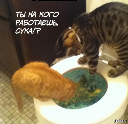 Из архивов.