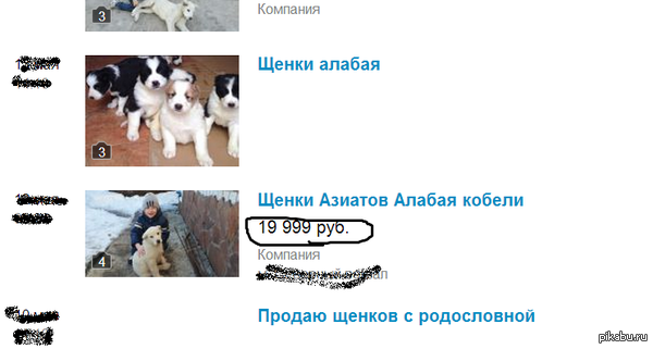 �������� - ��� ����������