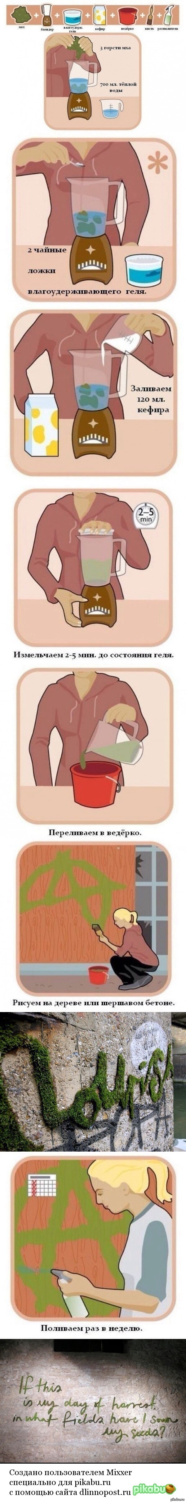 Надписи из мха