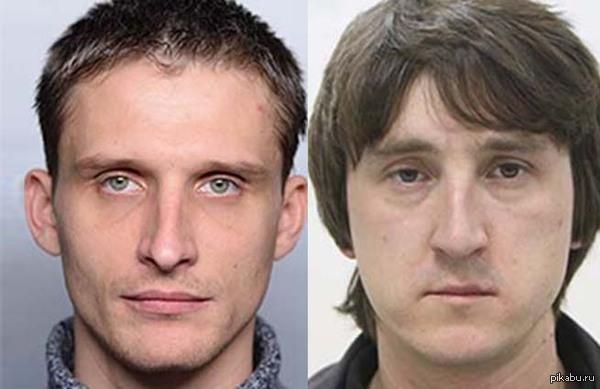     LifeNews.  ,   , .  .