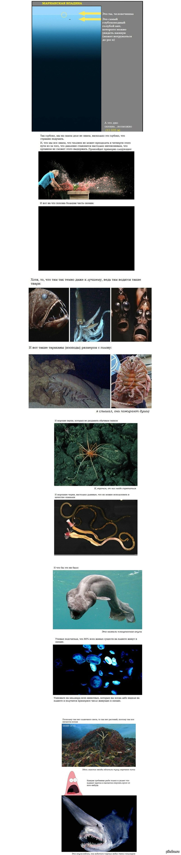 Почему же не стоит связываться с океаном?